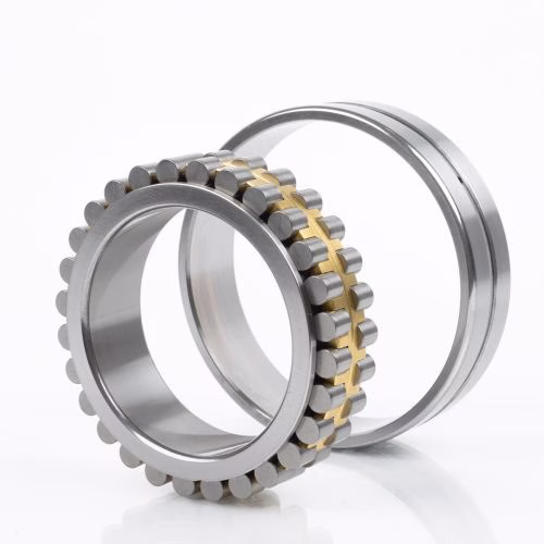 Zylinderrollenlager NN3006 DTVPSP ID 30mm AD 55mm Breite19mm
