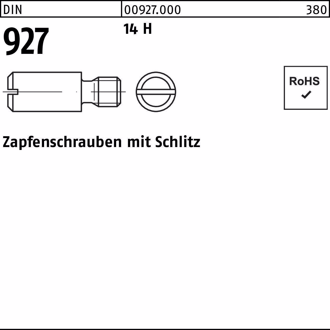 Zapfenschraube DIN 927 Schlitz 14H 100