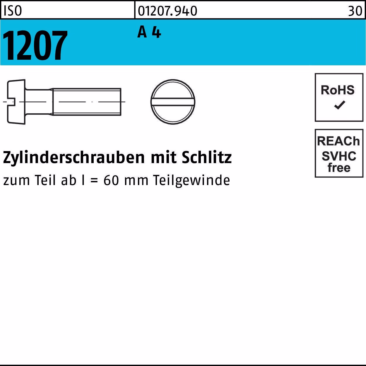 Zylinderschraube ISO 1207 Schlitz M6x 45 A 4 50 Stück