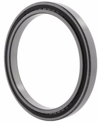 Zylinderrollenlager SL182960 -TB ID 300mm AD 420mm Breite72mm 1St./VE