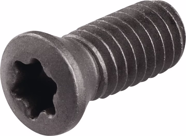 Spannschraube WS0410 Gr.T15