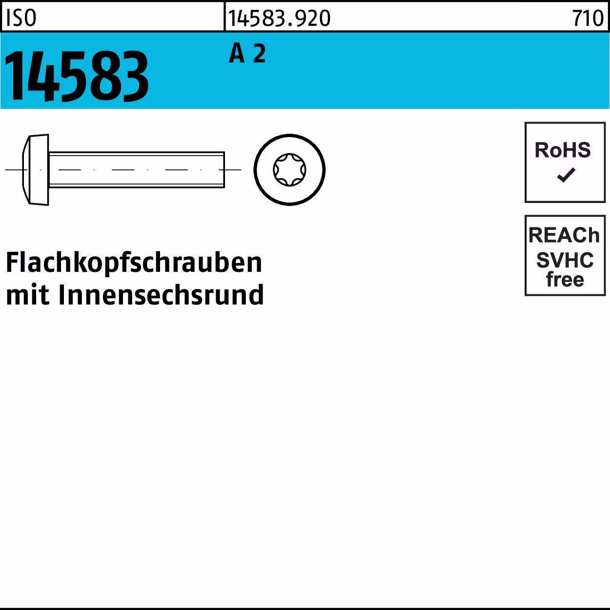 Flachkopfschraube ISO 14583 ISR