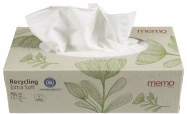 Taschentücher Recycling Extra Soft H3458 4lg. 100St.