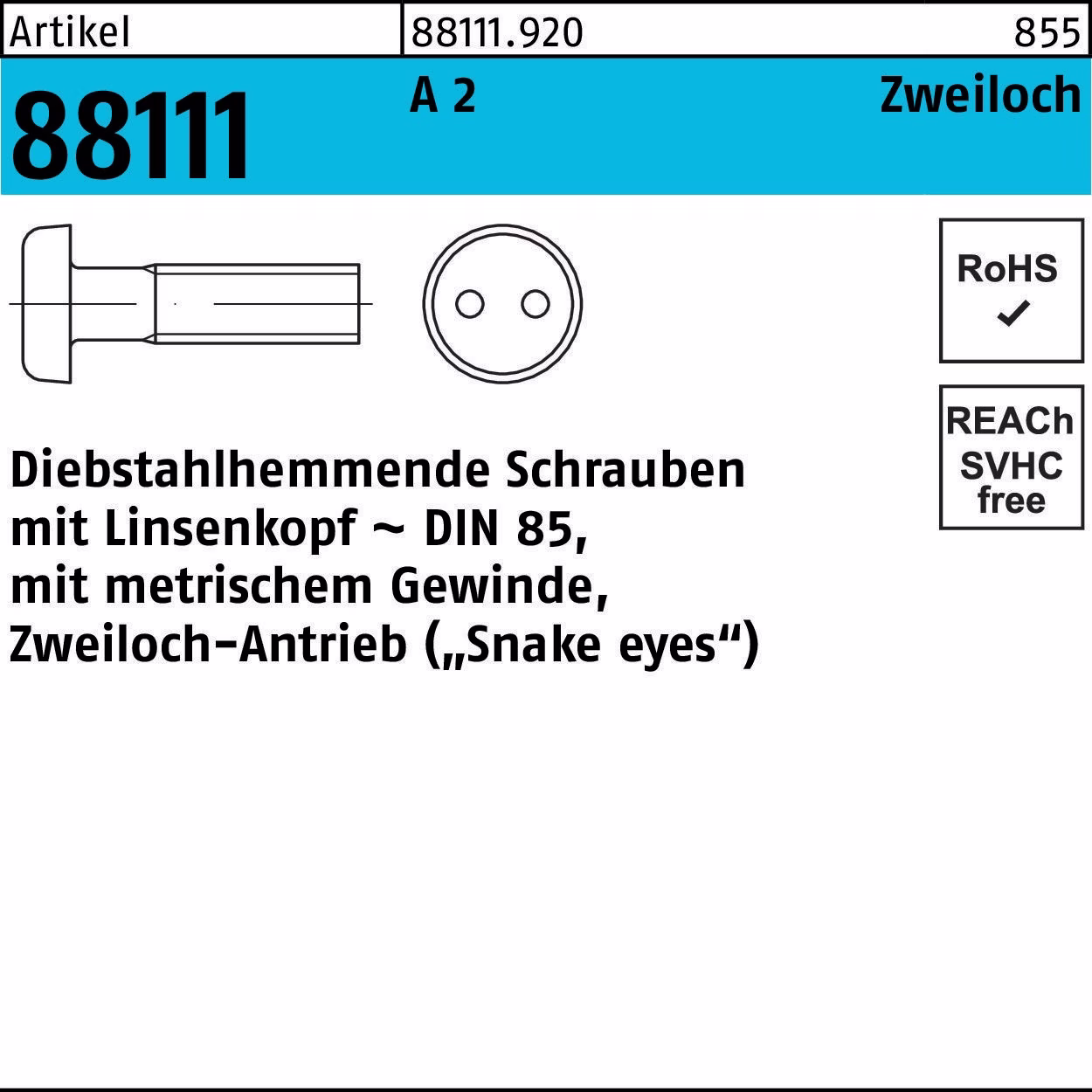 Schraube R 88111 diebstahlhemmend Liko/Zweiloch 2 100