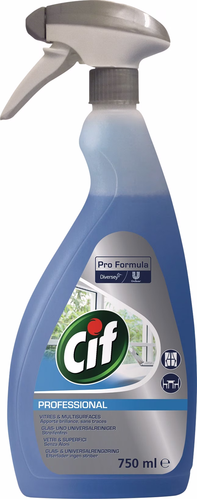 Fenster-/Oberflächenreiniger Professional 750 ml Sprühflasche