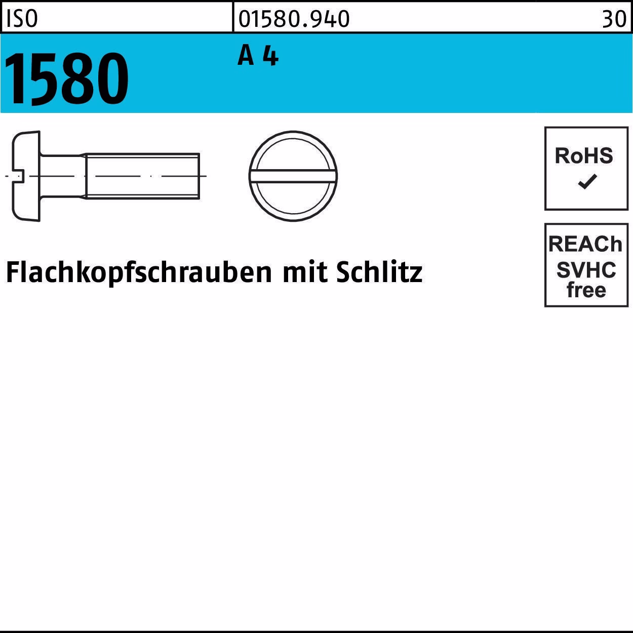 Flachkopfschraube ISO 1580 Schlitz M6x 35 A 4 50 Stück