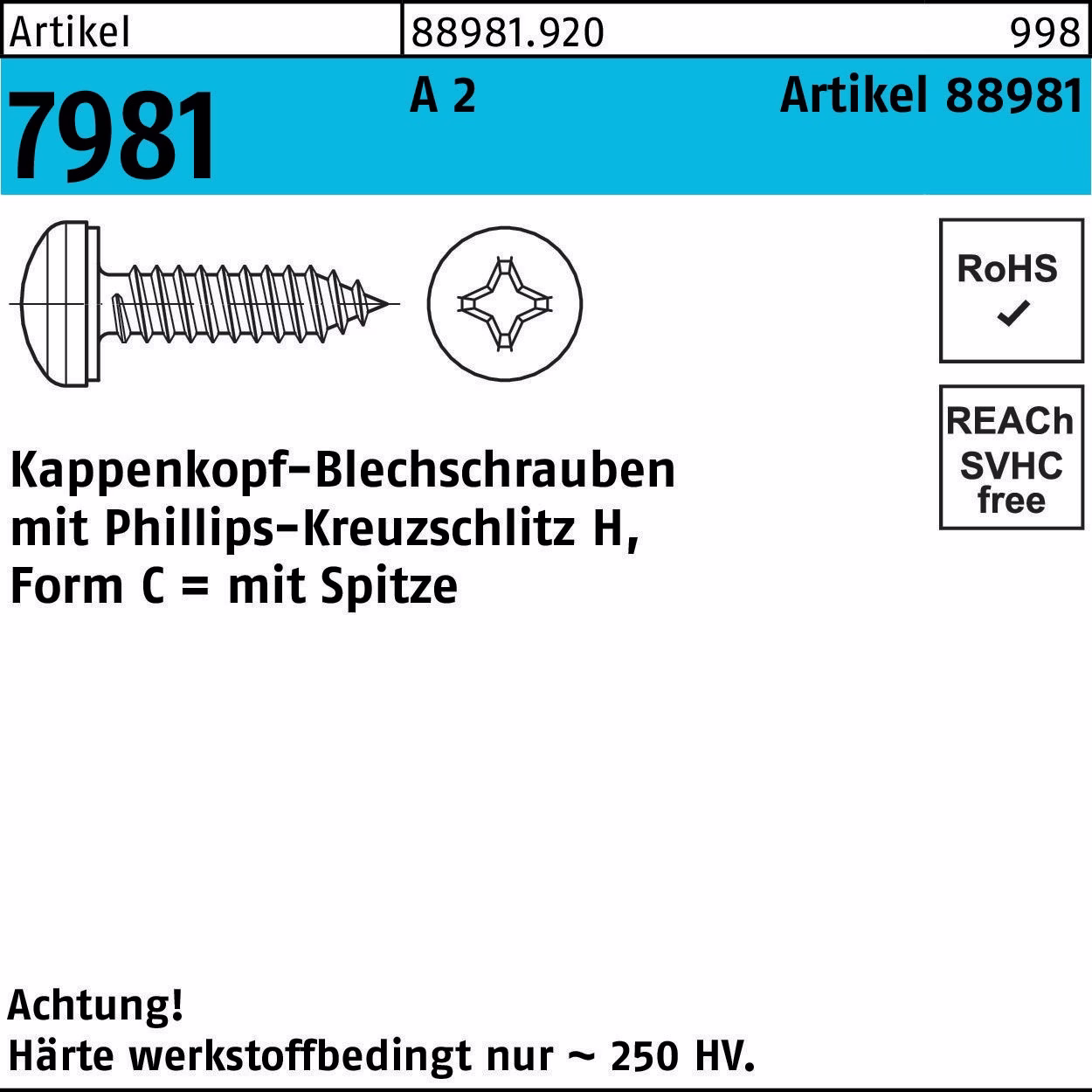 Kappenkopfblechschraube R 88981 PH 3,9x A 2