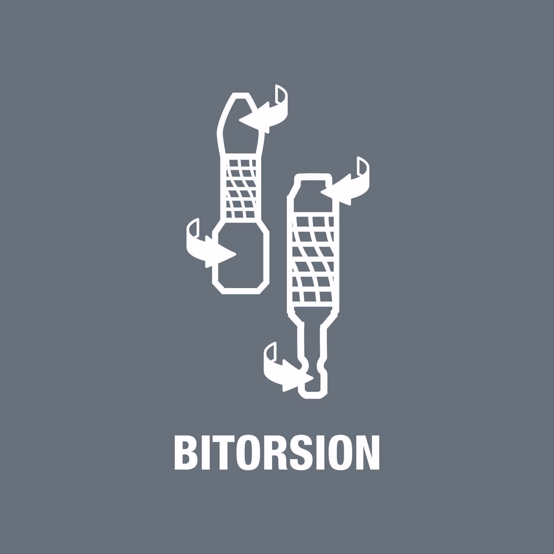 Bit 840/1 BTZ Hex-Plus Innen-6-kant SW2mm 6-kantantrieb1/4Zoll L.25mm BiTorsion