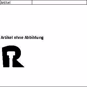 Ankernagel R 89807 4 x Stahl galv. verzinkt 250 Fachhandel