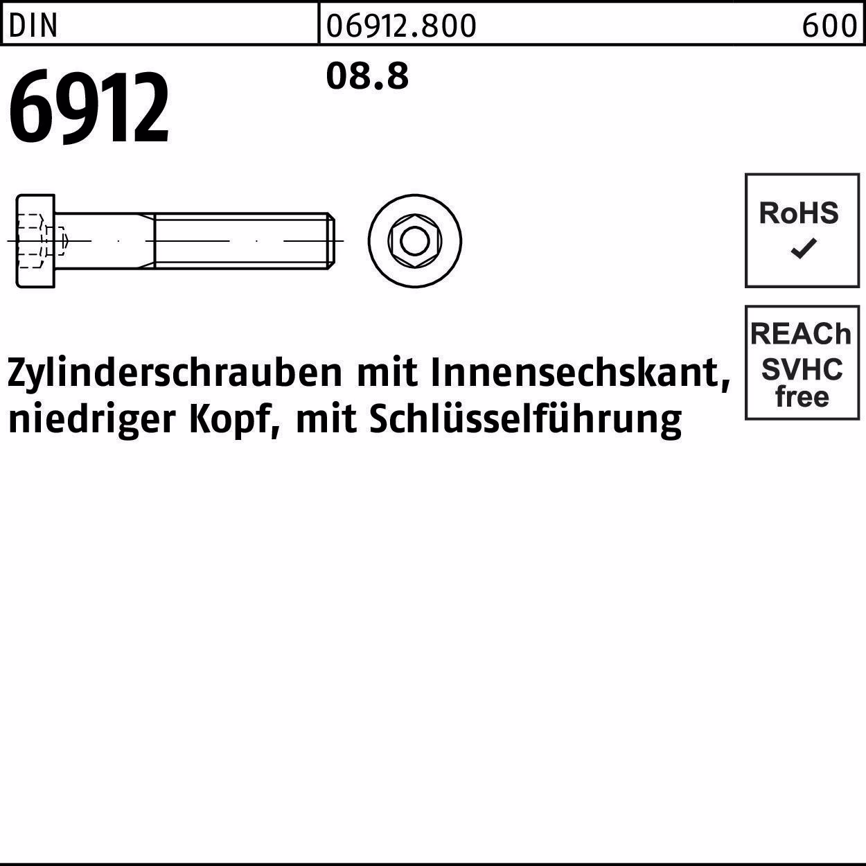 Zylinderschraube DIN 6912