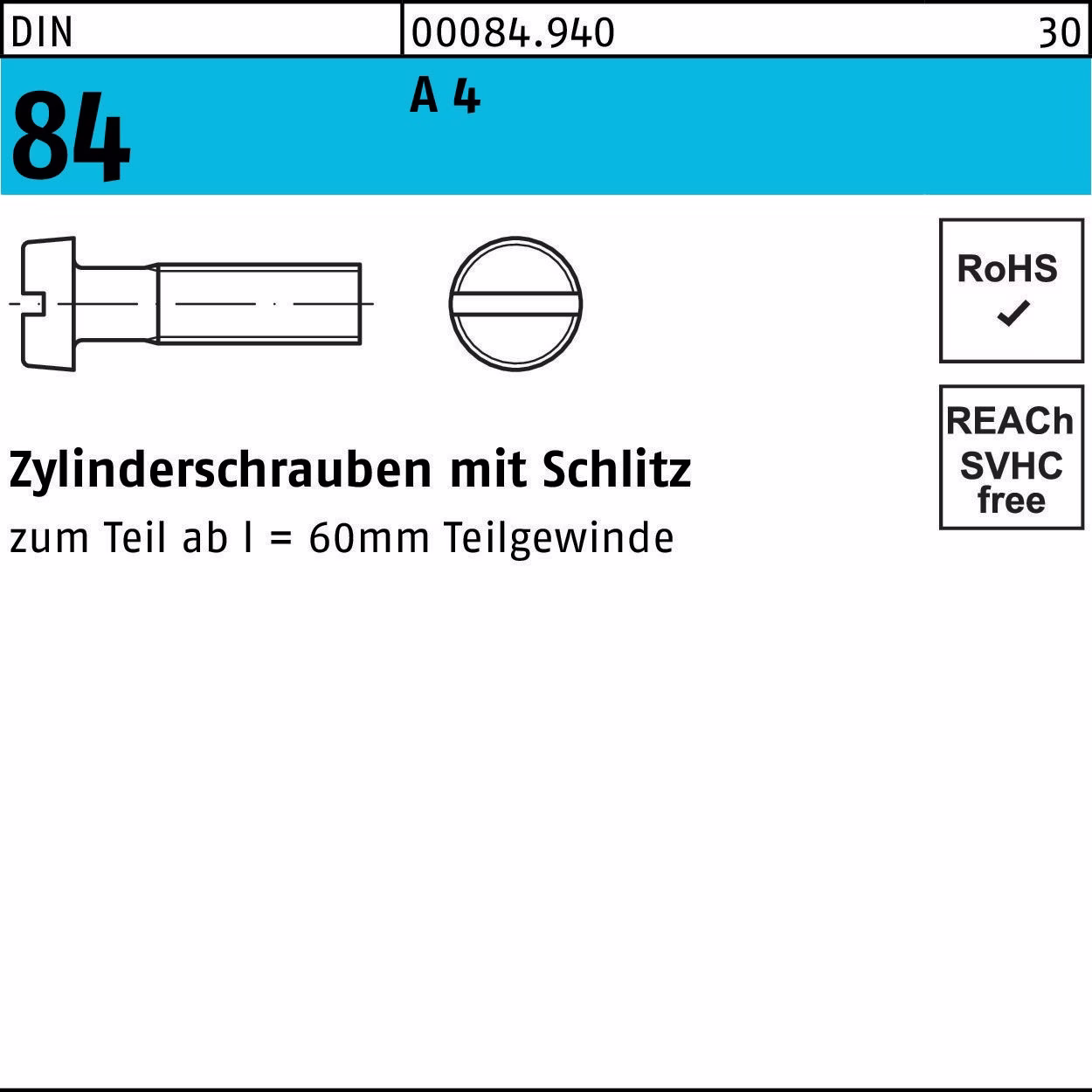 Zylinderschraube DIN 84 m.Schlitz M6x 45 A 4 50 Stück